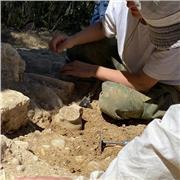 Étudiante en Histoire et en archéologie, aide aux devoirs, notamment pour l’histoire